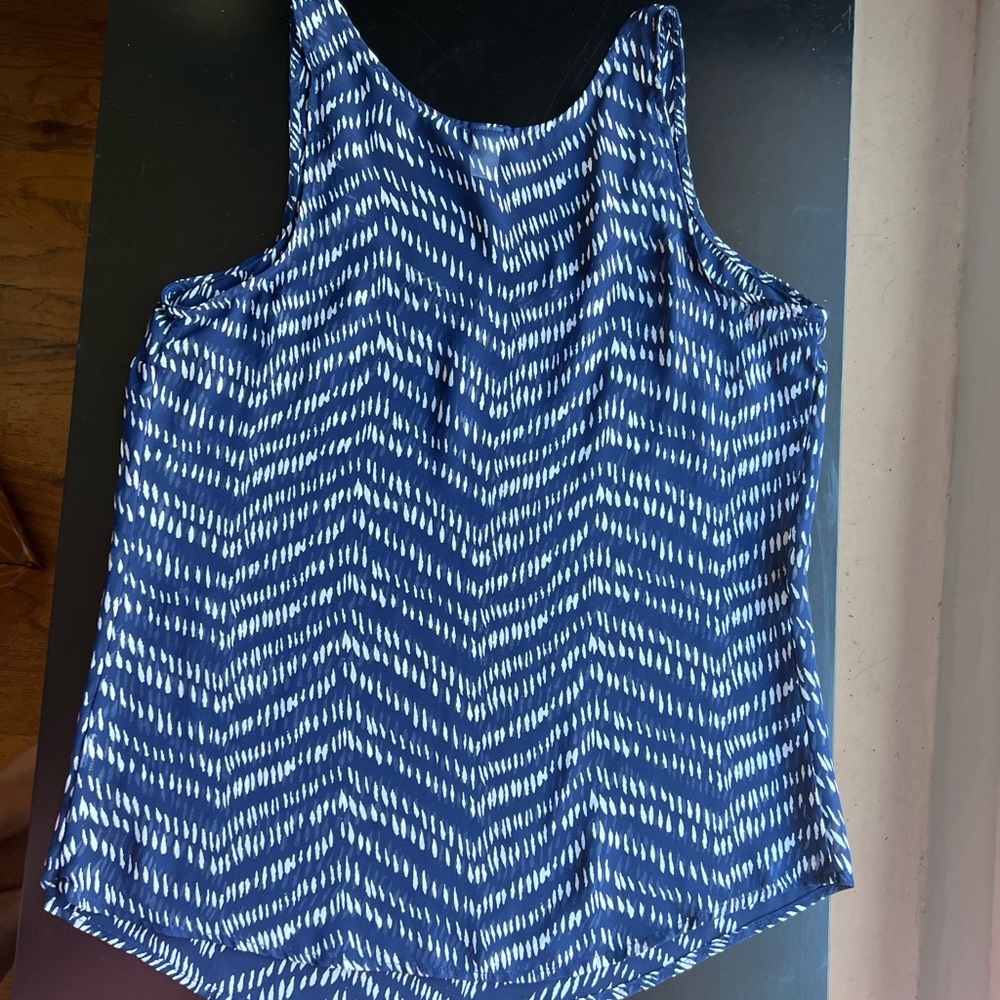 Sheer Blouse - Picture 2 of 6